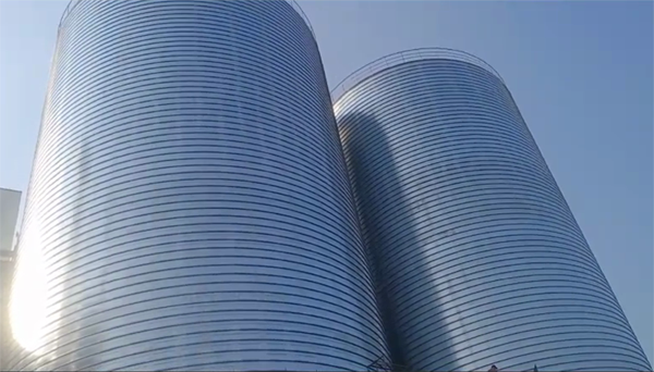 中堂镇2座混凝土高架卷板仓